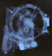 La máquina de Antikitera vista por rayos X